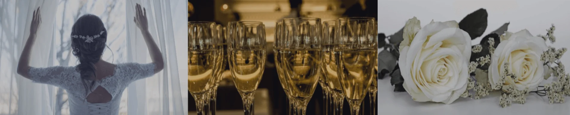 guestified BARBAROSSA